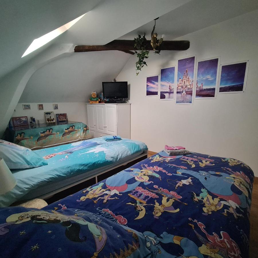 Appartement spacieux DisneyLand - La Vallée Village - 6 personnes - 60m2 Saint-Germain-sur-Morin Extérieur photo